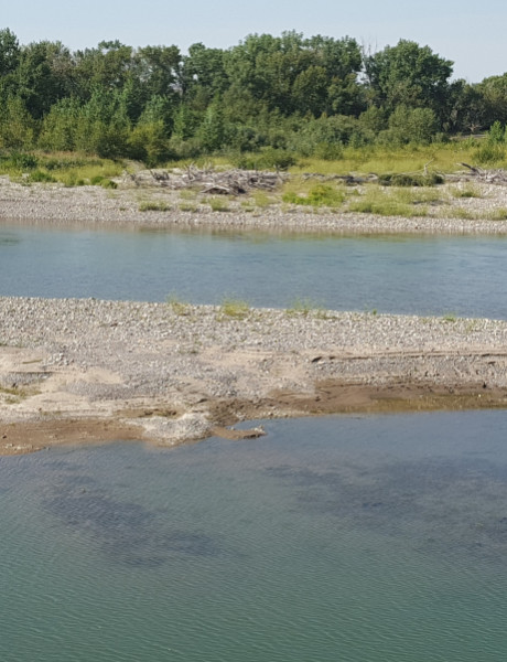 Artificial Intelligence Applications for Water Management