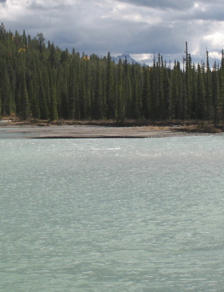 Updating the Guide for Building Resiliency to Multi-year Drought in Alberta Project
