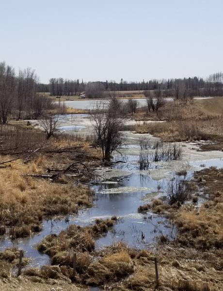 Water Research Strategy