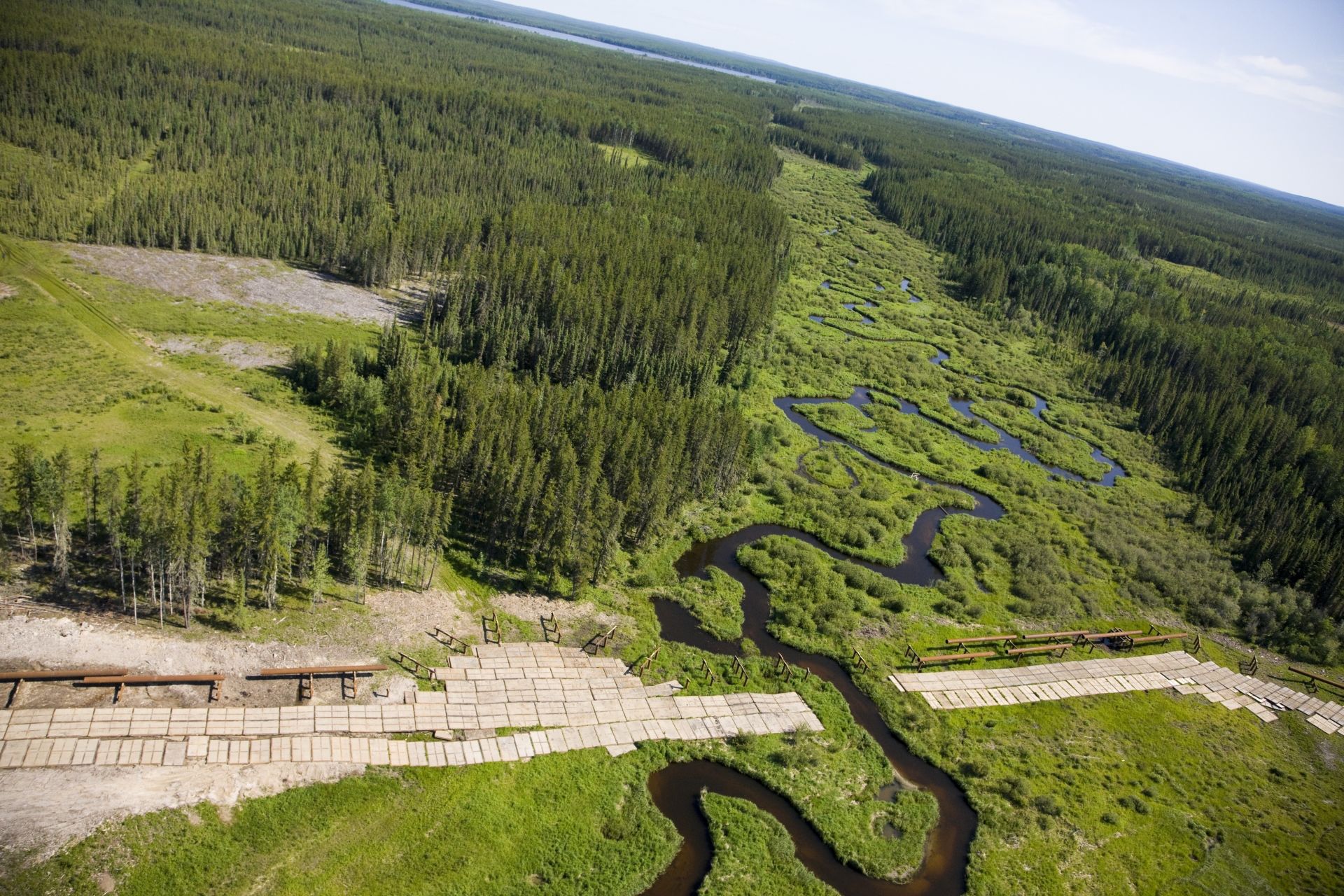 Wetland Policy Implementation Review